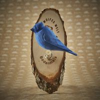 Der blaue Vogel ist beim Herrgottschnitzer in Bodenmais erh&auml;ltlich.